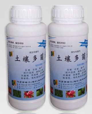 organic fertilizer