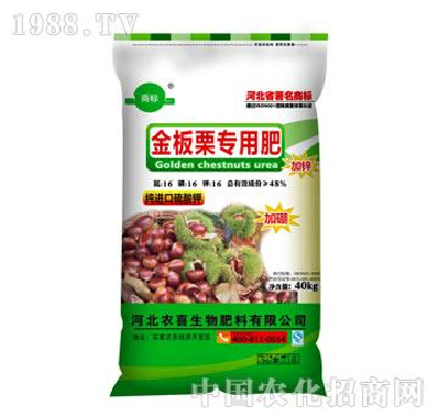 Farmers in xi - golden chestnuts fertilizer