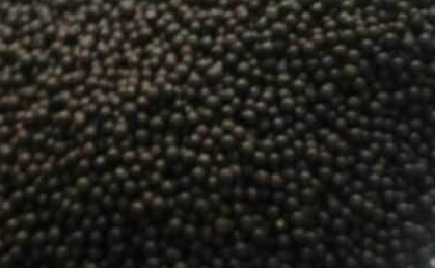 Organic Fertilizer