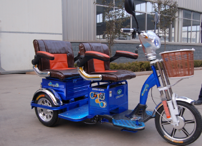 Cargo electric tricycle