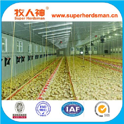 Full set automatic poultry farming equipment for broiler