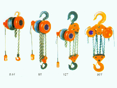 DHP were studied.the optimum processing type chain electric hoist