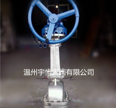 12 # a large-diameter gate valve American standard