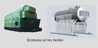  biomass steam boiler
