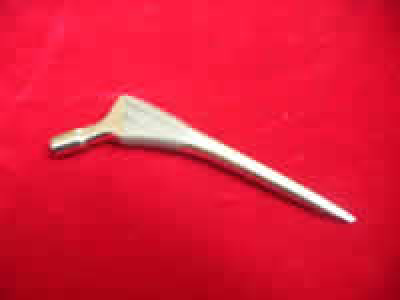 hip stem with slot