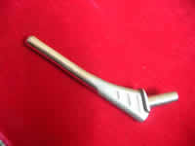 hip joint