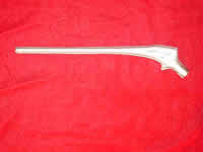 hip joint