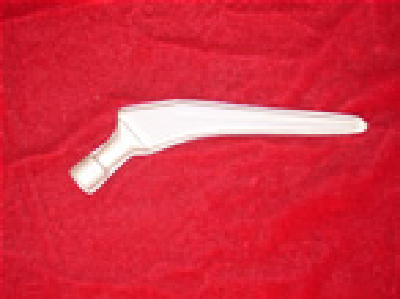 hip joint