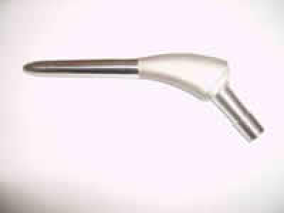 hip joint