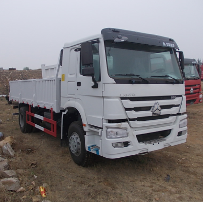 HOWO 4X2 Cargo Truck