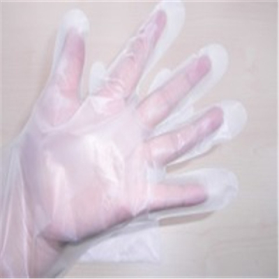 Disposable Food Service HDPE Gloves