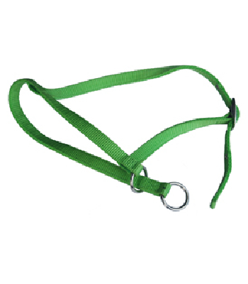2016 Livestock products best for sale