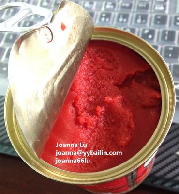 canned/pouch tomato paste from factory