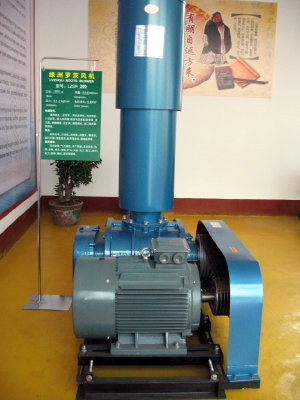 Roots blower LZSR200