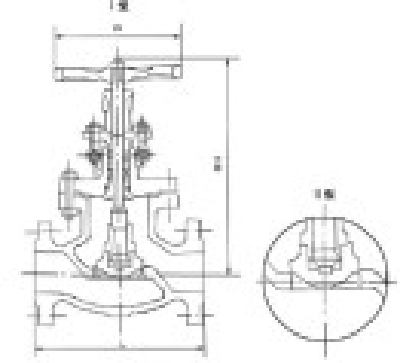  Globe valve