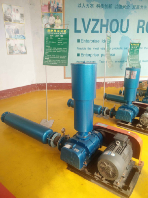 LZSR100 roots blower