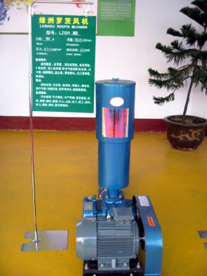 Roots blower LZSR80