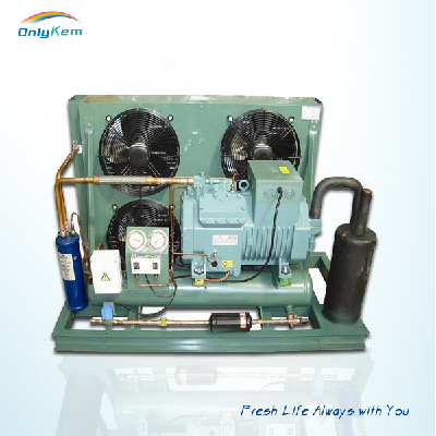 Bitzer compressor condensing unit