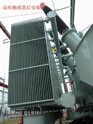 Various Ratings Types and Styles Electrical Distribution Transformersfor 33 kV Substation