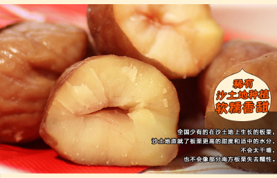 Chinese chestnut