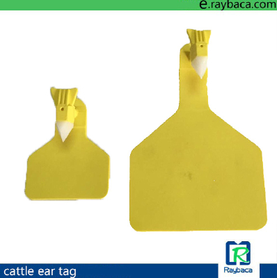 One Piece A-TAG CALF Tag