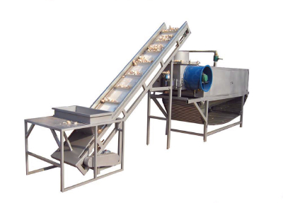 garlic process machine